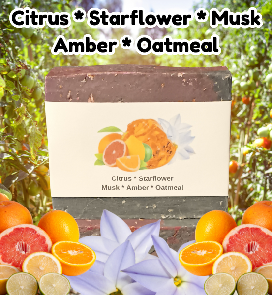 Citrus, Starflower, Musk, Amber & Oatmeal *Vivid Natural Soap (4oz)