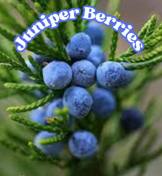 IMPULSE *Handmade Natural Soap (4.5oz Bar)