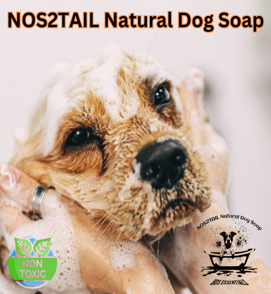 Image of a woman washing her Dog with a bar of Natural Dog Soap made with Shea butter & flaxseed and the words Natural Dog Soap.